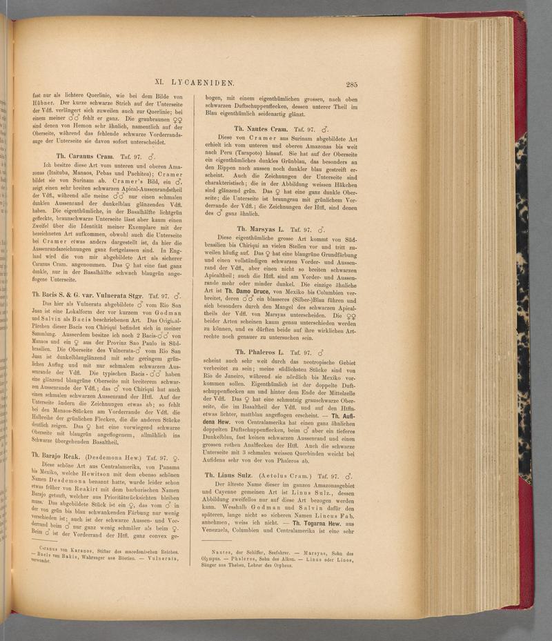 Exotische schmetterlinge (Page 285) BHL40070642