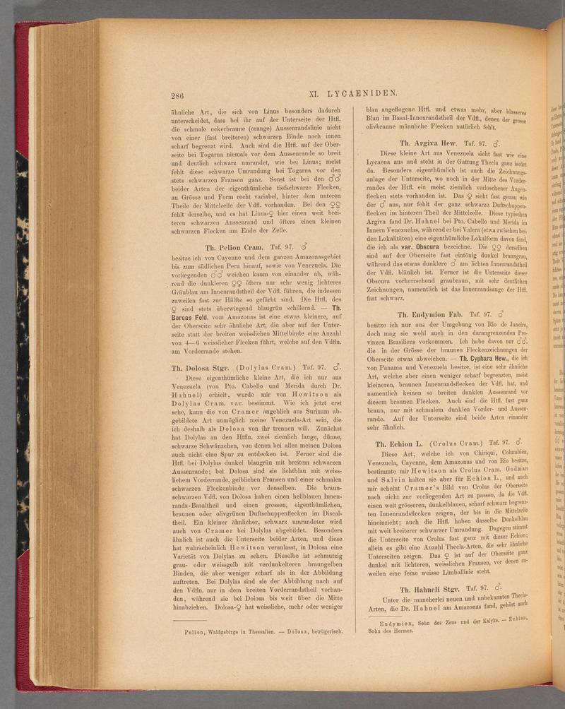 Exotische schmetterlinge (Page 286) BHL40070643