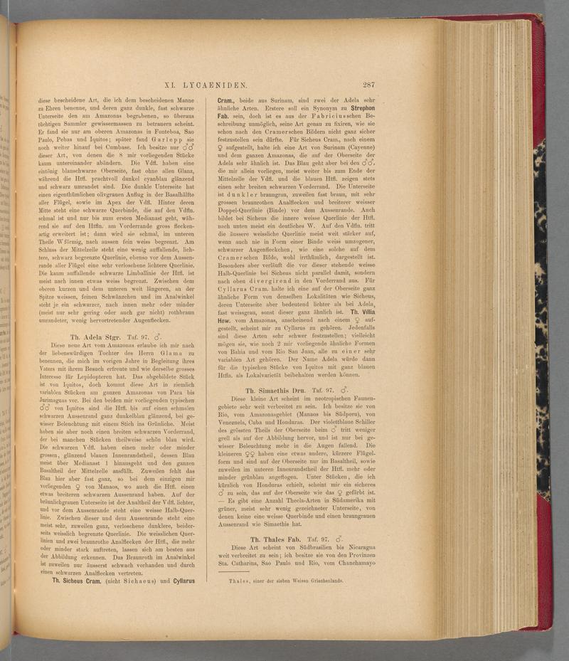 Exotische schmetterlinge (Page 287) BHL40070644