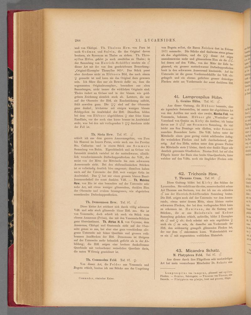 Exotische schmetterlinge (Page 288) BHL40070645