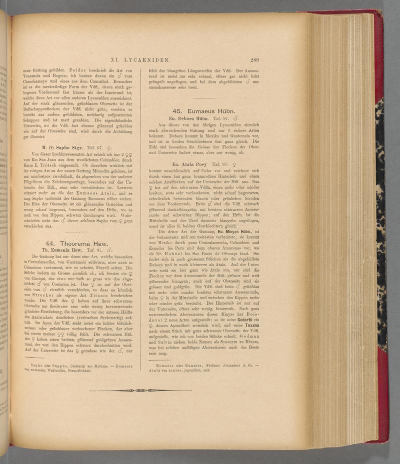 Exotische schmetterlinge (Page 289) BHL40070646
