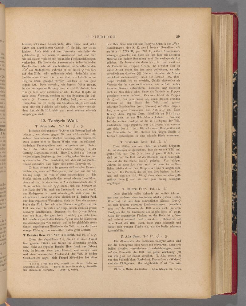 Exotische schmetterlinge (Page 29) BHL40070384