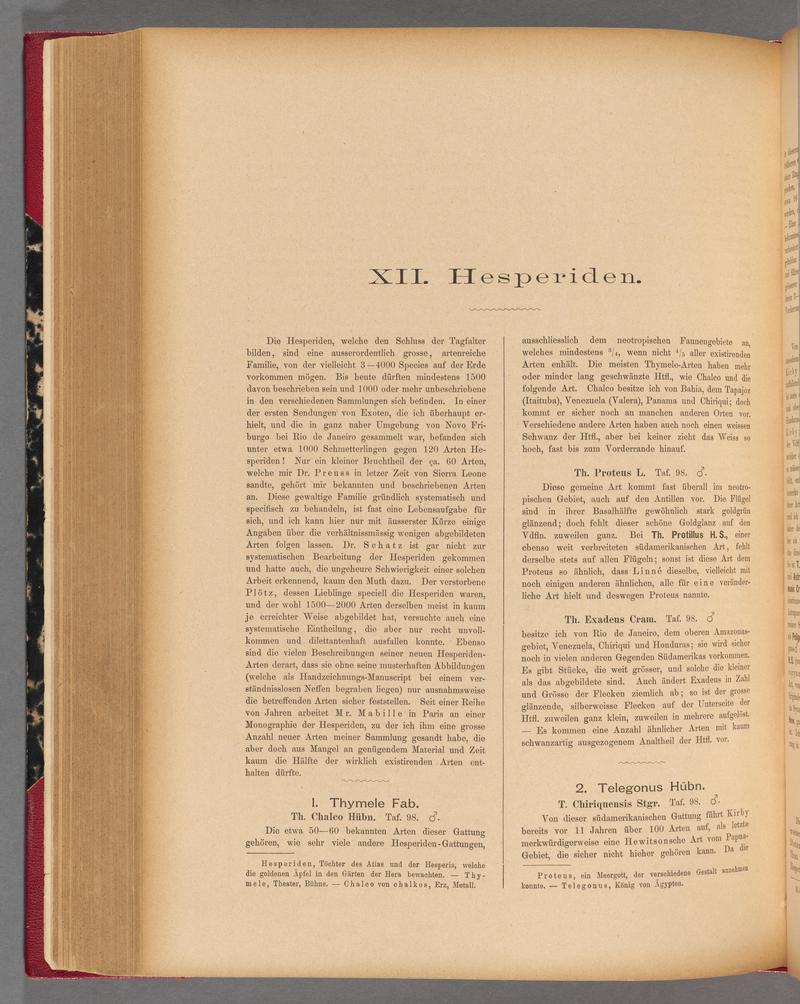 Exotische schmetterlinge (Page 290) BHL40070647