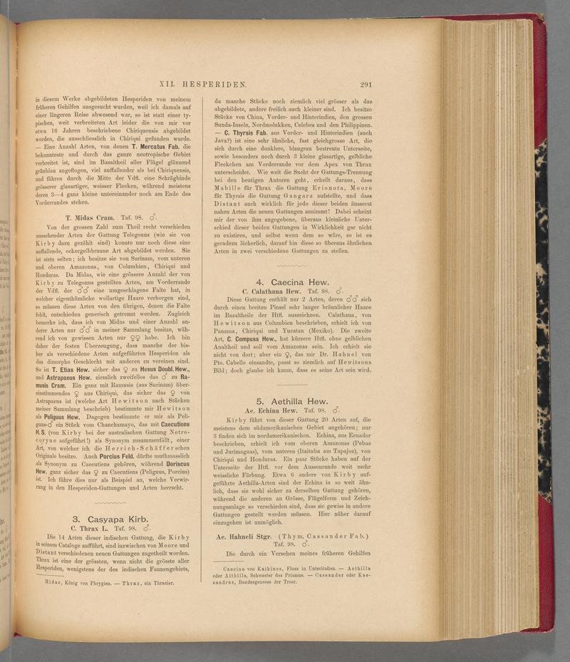 Exotische schmetterlinge (Page 291) BHL40070648