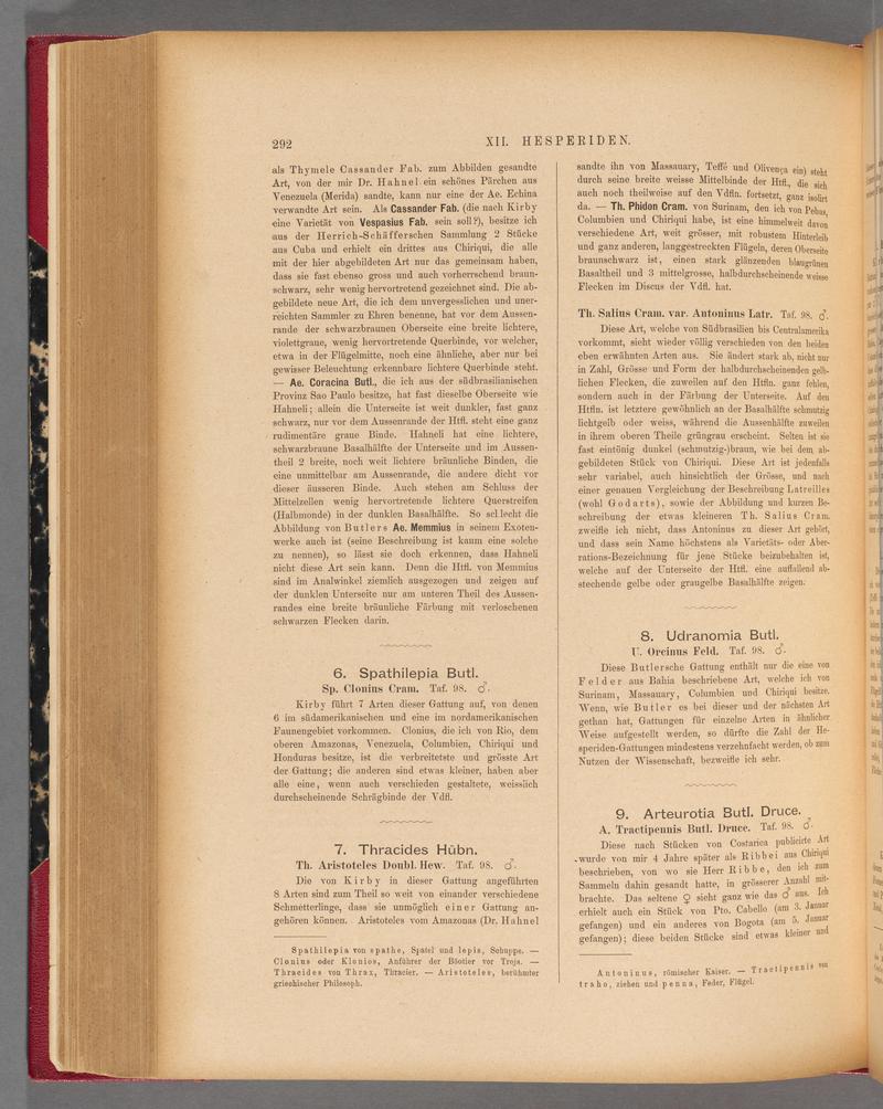 Exotische schmetterlinge (Page 292) BHL40070649
