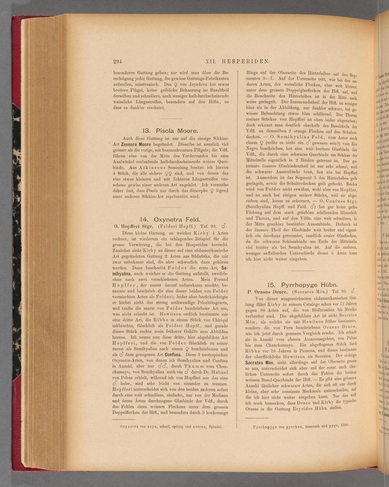 Exotische schmetterlinge (Page 294) BHL40070651