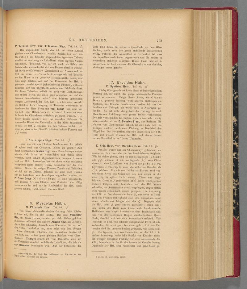 Exotische schmetterlinge (Page 295) BHL40070652