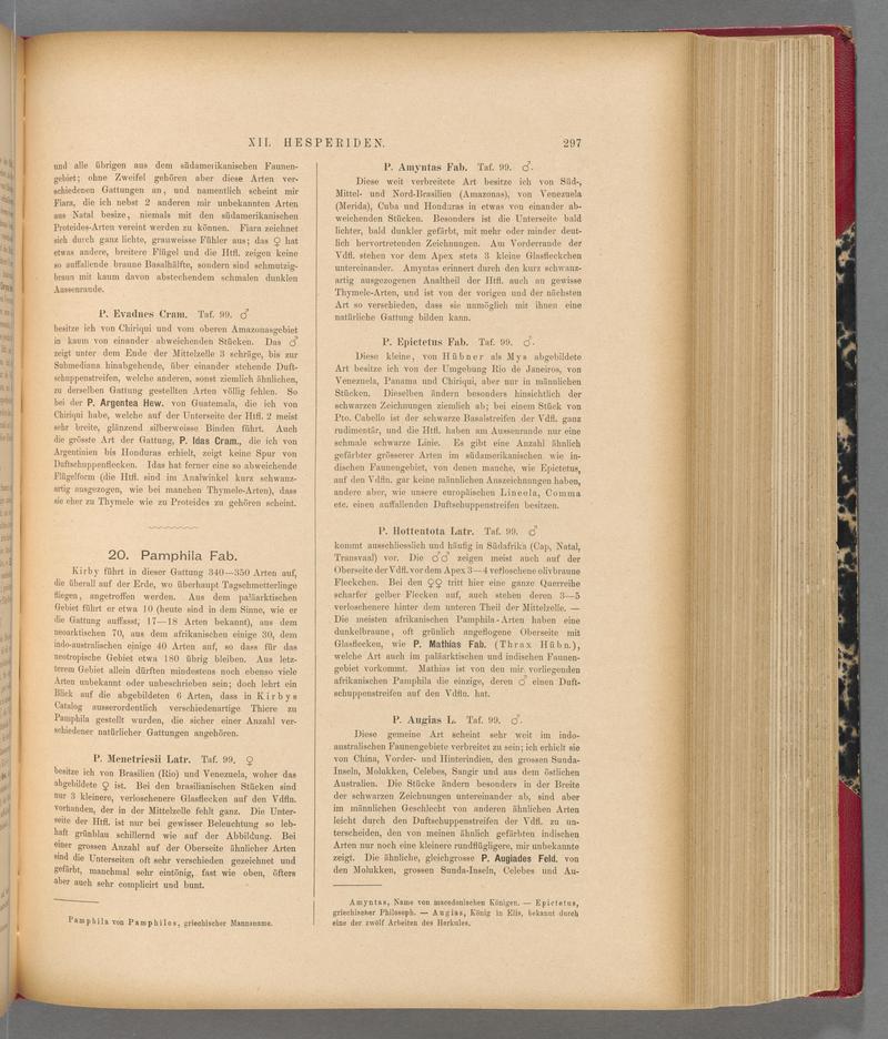 Exotische schmetterlinge (Page 297) BHL40070654
