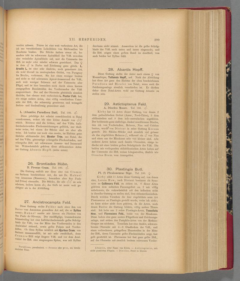 Exotische schmetterlinge (Page 299) BHL40070656