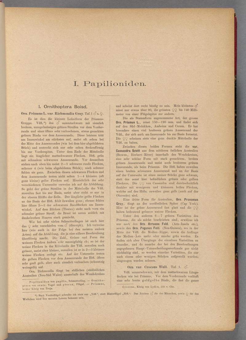 Exotische schmetterlinge (Page 3) BHL40070358