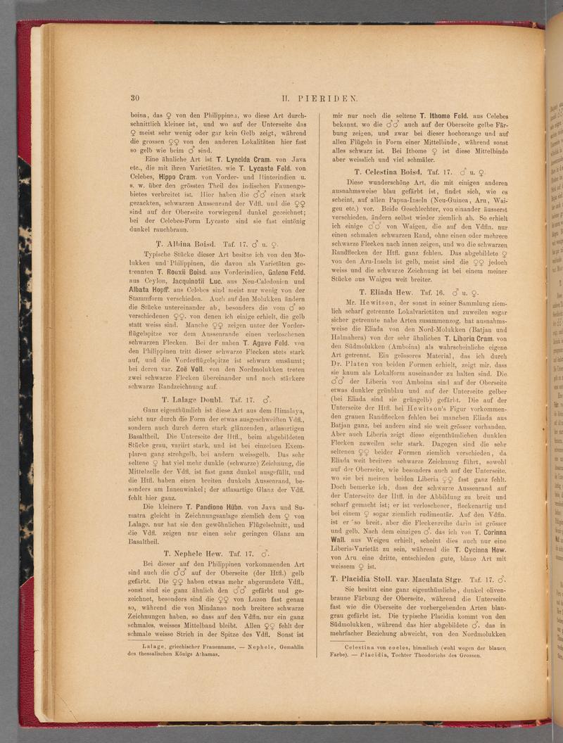Exotische schmetterlinge (Page 30) BHL40070385