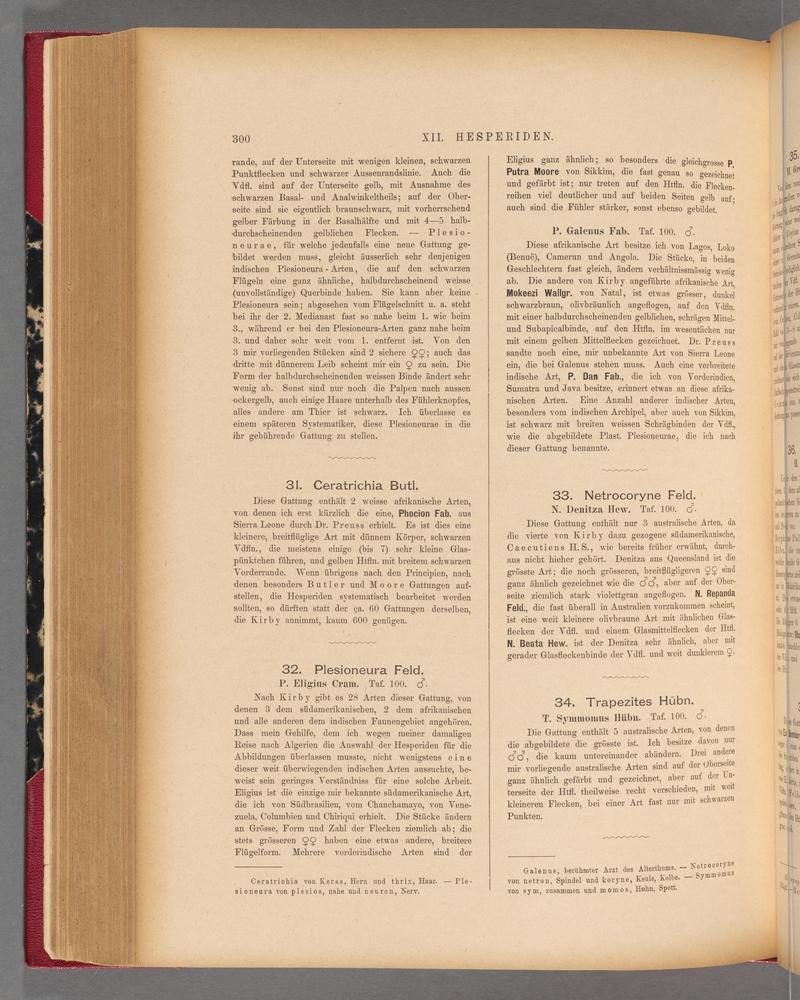 Exotische schmetterlinge (Page 300) BHL40070657