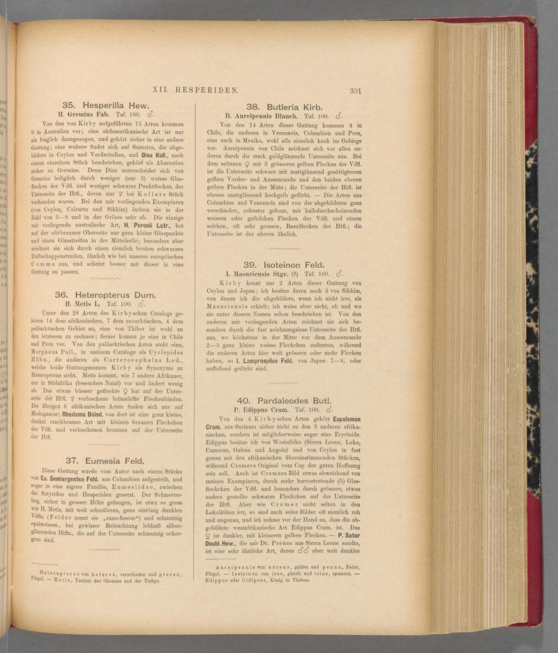 Exotische schmetterlinge (Page 301) BHL40070658