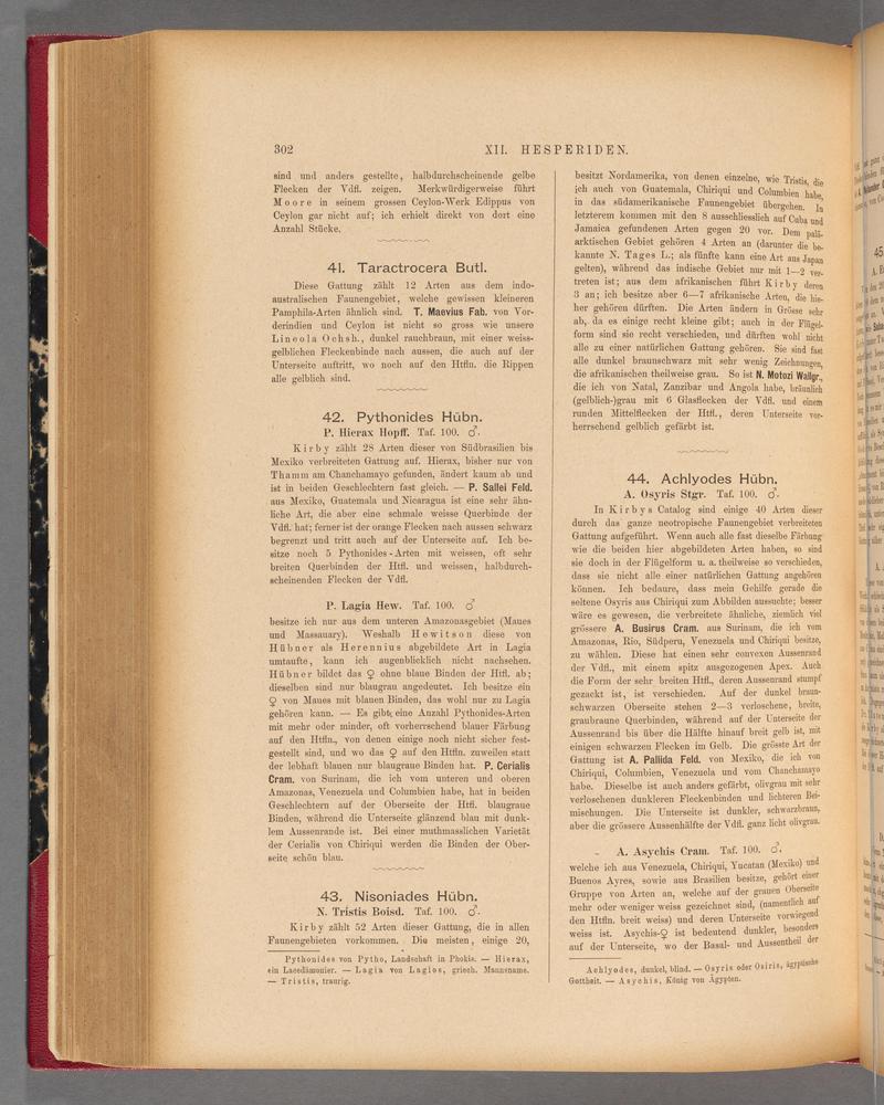 Exotische schmetterlinge (Page 302) BHL40070659