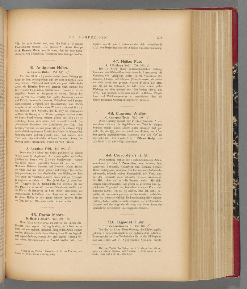 Exotische schmetterlinge (Page 303) BHL40070660