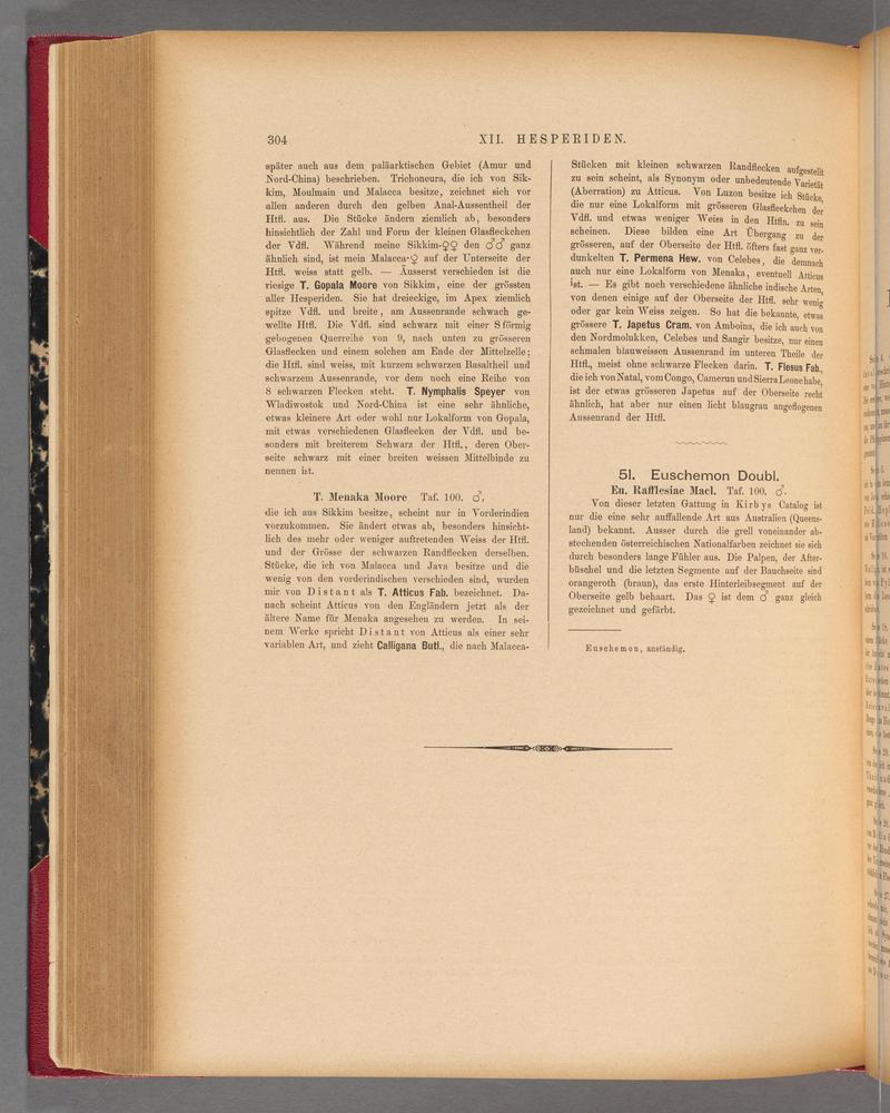 Exotische schmetterlinge (Page 304) BHL40070661