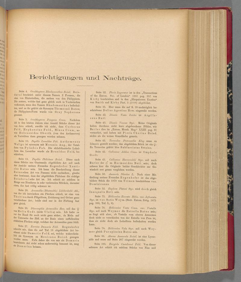 Exotische schmetterlinge (Page 305) BHL40070662