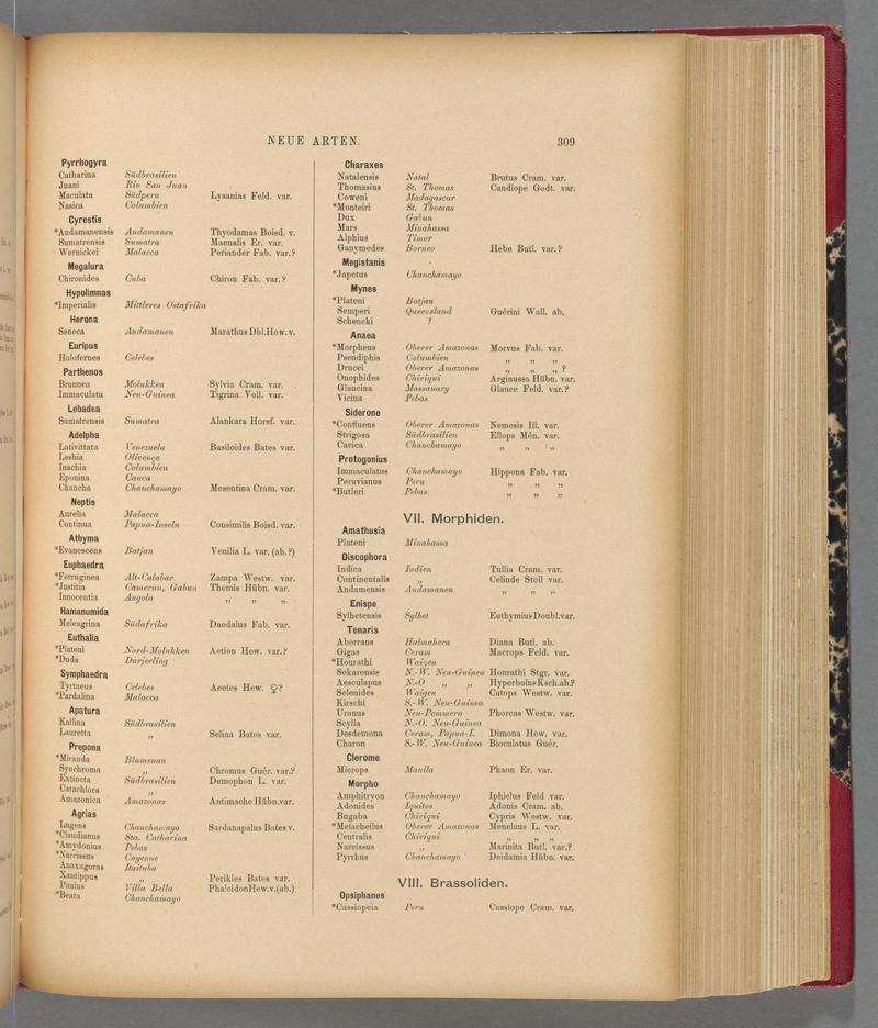 Exotische schmetterlinge (Page 309) BHL40070666