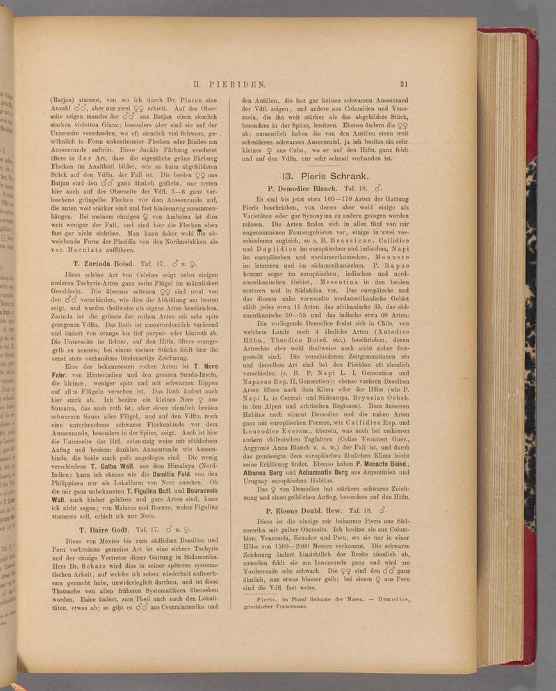 Exotische schmetterlinge (Page 31) BHL40070386