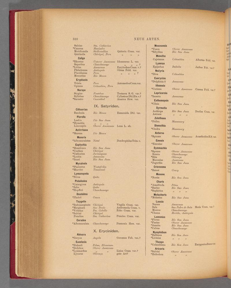 Exotische schmetterlinge (Page 310) BHL40070667