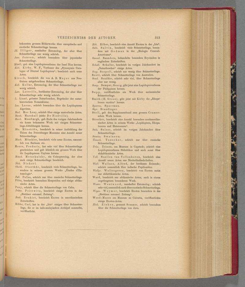 Exotische schmetterlinge (Page 313) BHL40070670