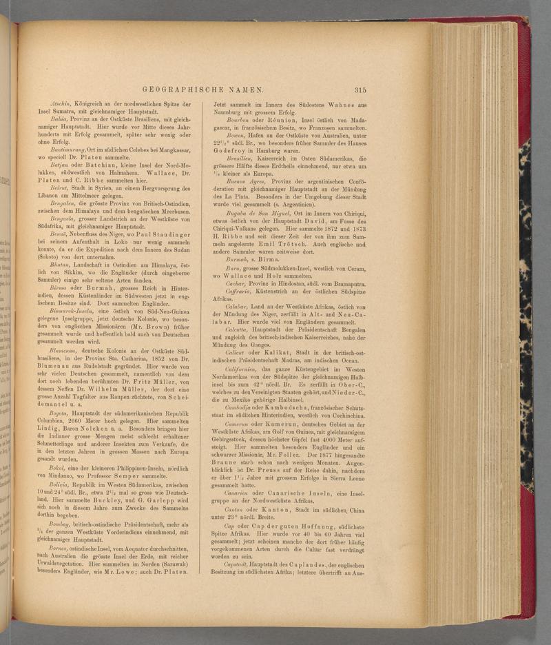Exotische schmetterlinge (Page 315) BHL40070672