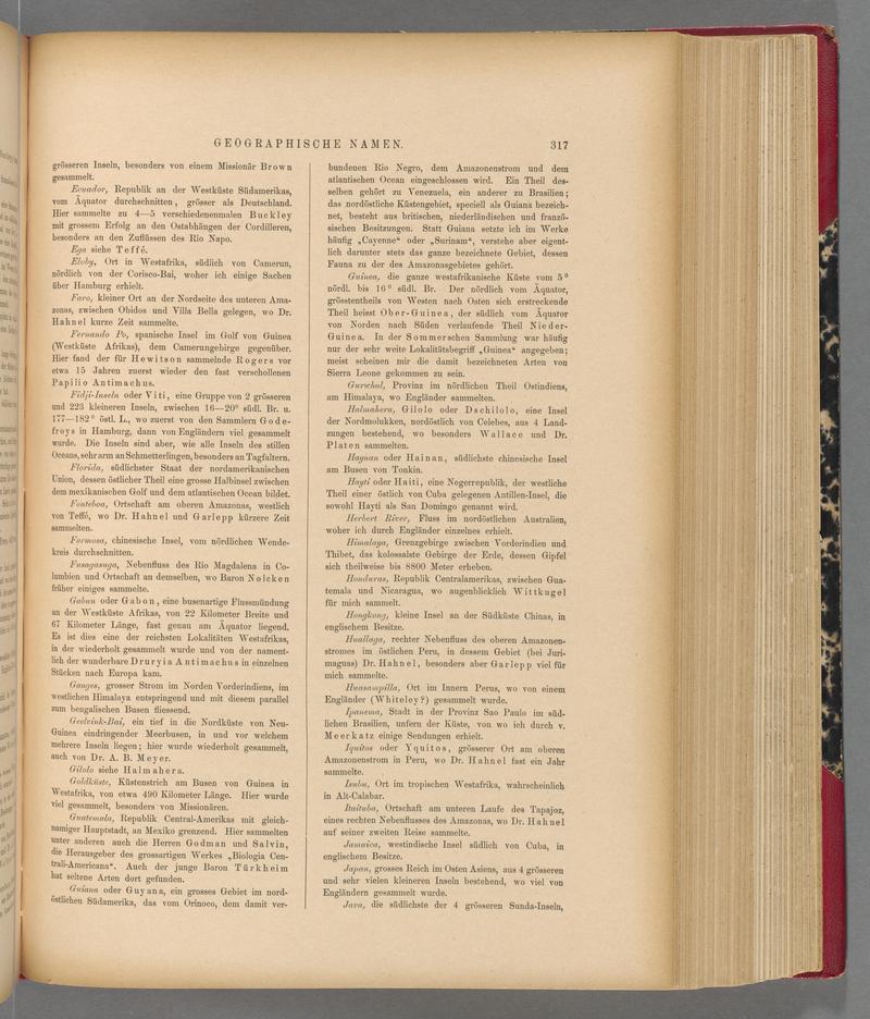 Exotische schmetterlinge (Page 317) BHL40070674