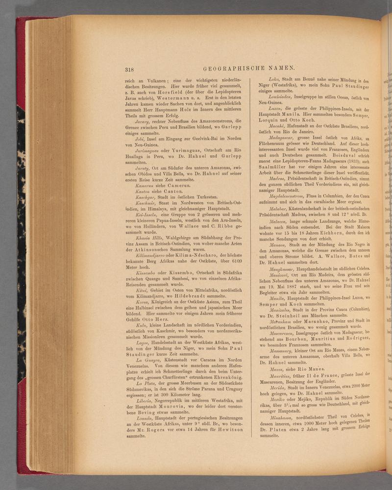 Exotische schmetterlinge (Page 318) BHL40070675