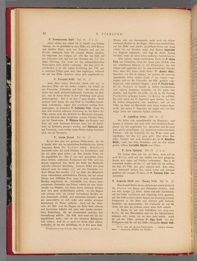 Exotische schmetterlinge (Page 32) BHL40070387