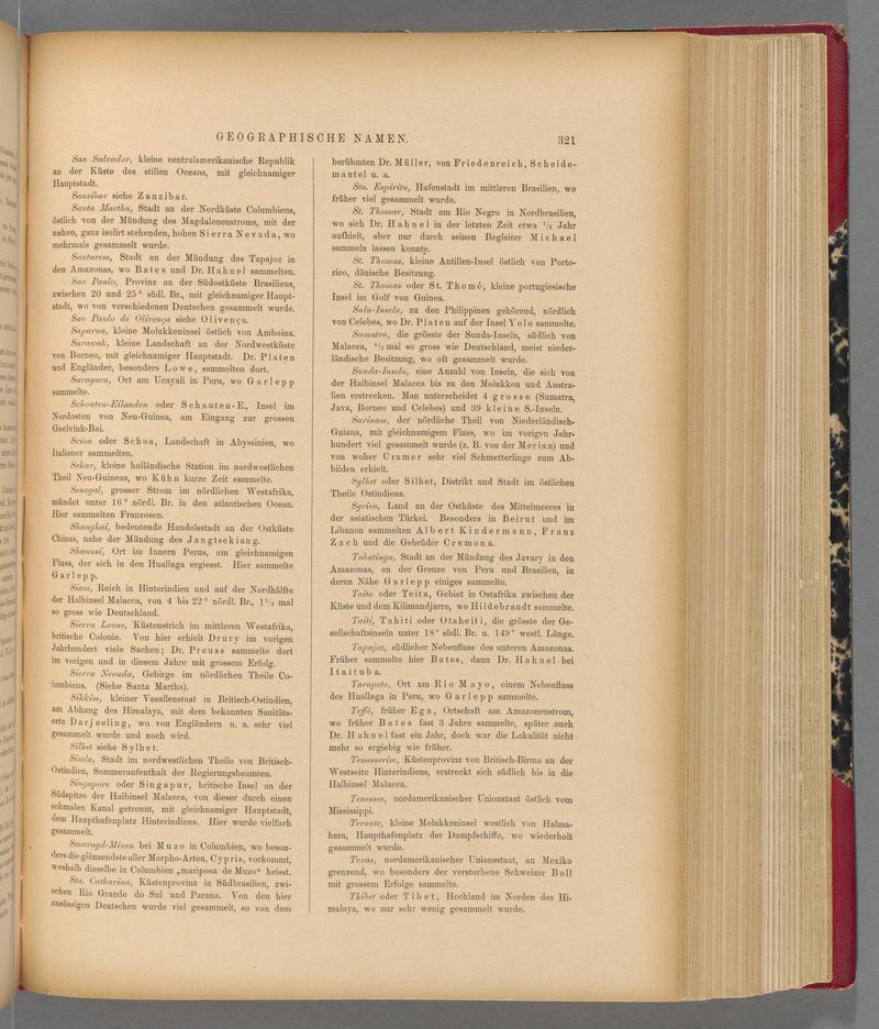 Exotische schmetterlinge (Page 321) BHL40070678