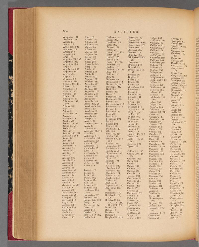 Exotische schmetterlinge (Page 324) BHL40070681
