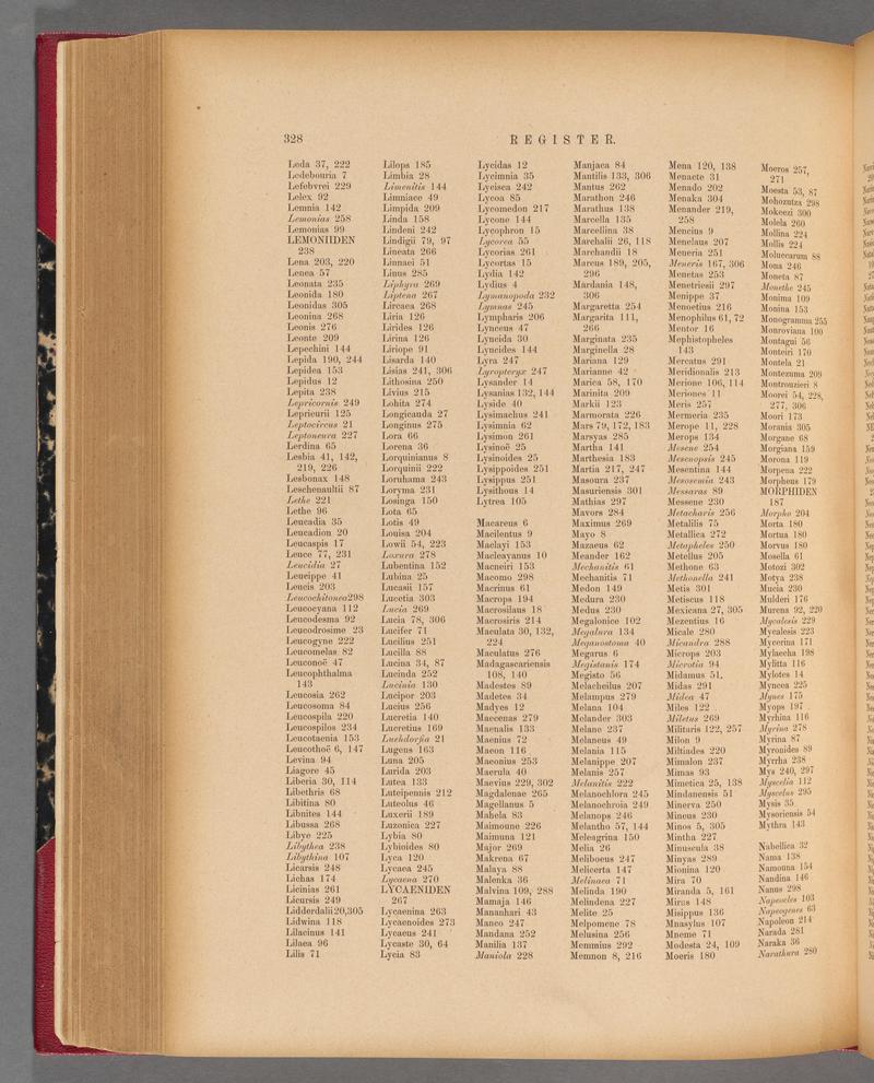 Exotische schmetterlinge (Page 328) BHL40070685
