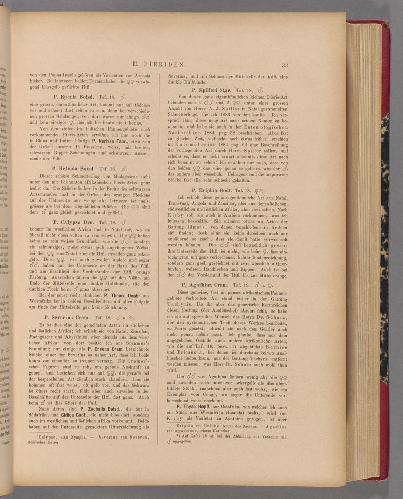 Exotische schmetterlinge (Page 33) BHL40070388