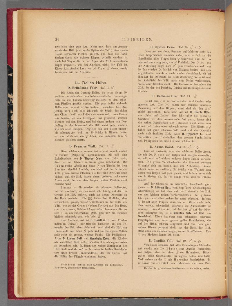 Exotische schmetterlinge (Page 34) BHL40070389