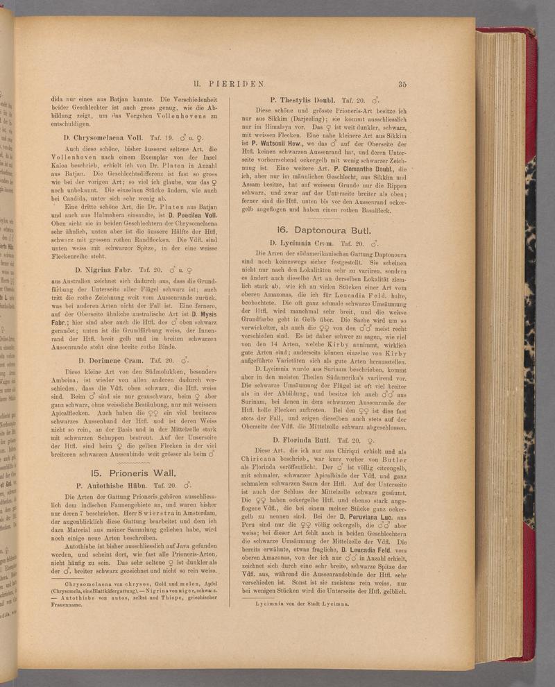 Exotische schmetterlinge (Page 35) BHL40070390