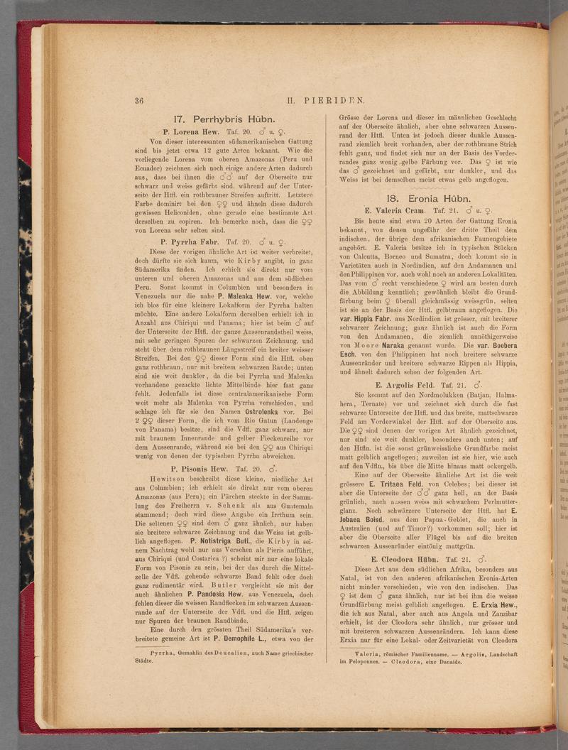 Exotische schmetterlinge (Page 36) BHL40070391