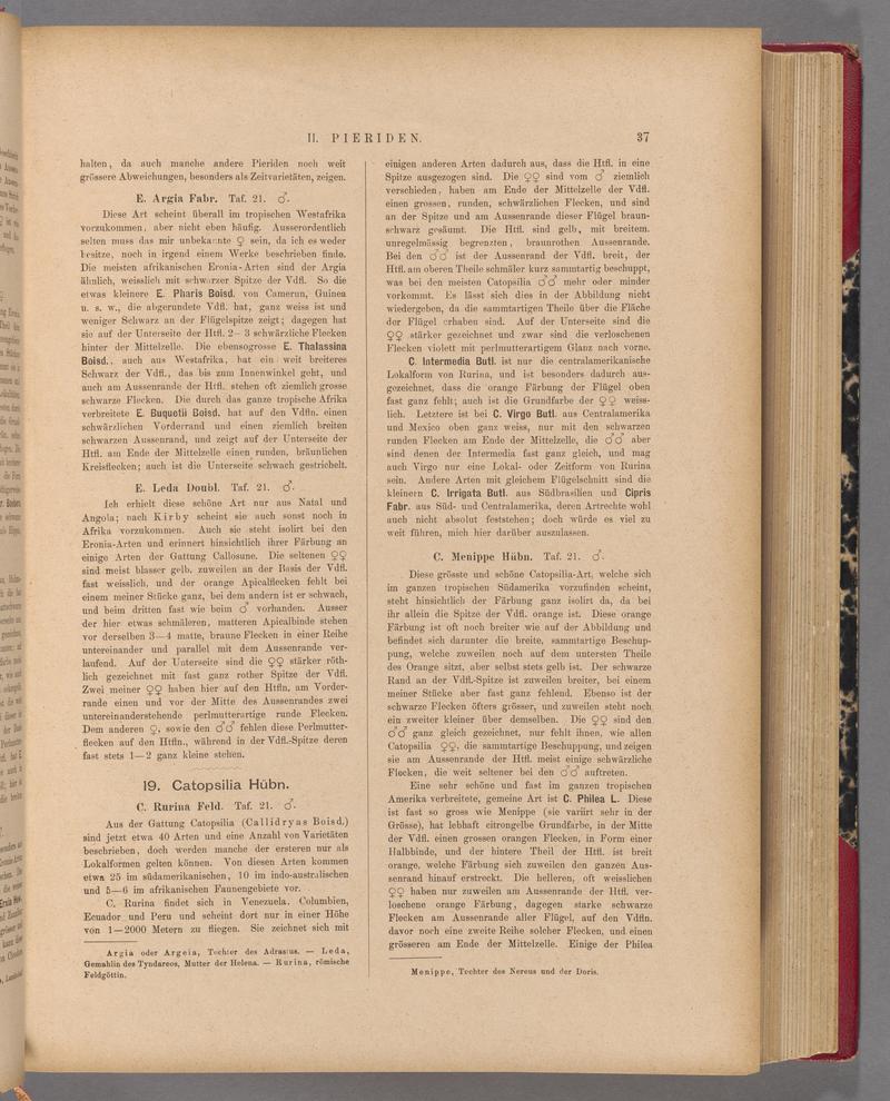 Exotische schmetterlinge (Page 37) BHL40070392