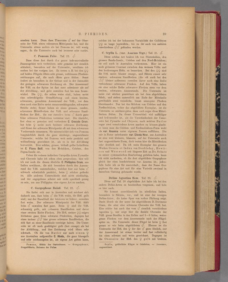 Exotische schmetterlinge (Page 39) BHL40070394