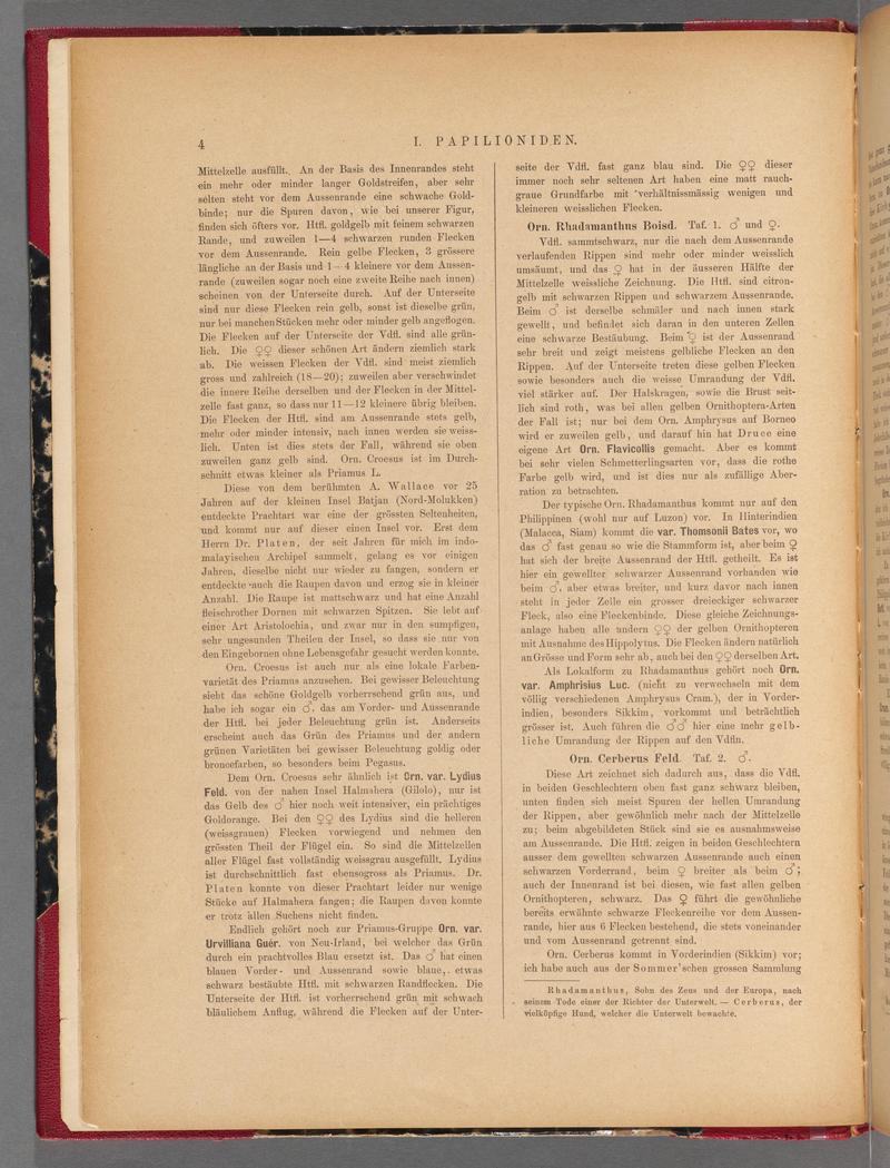 Exotische schmetterlinge (Page 4) BHL40070359