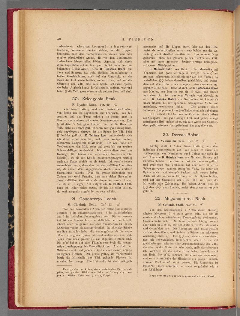 Exotische schmetterlinge (Page 40) BHL40070395