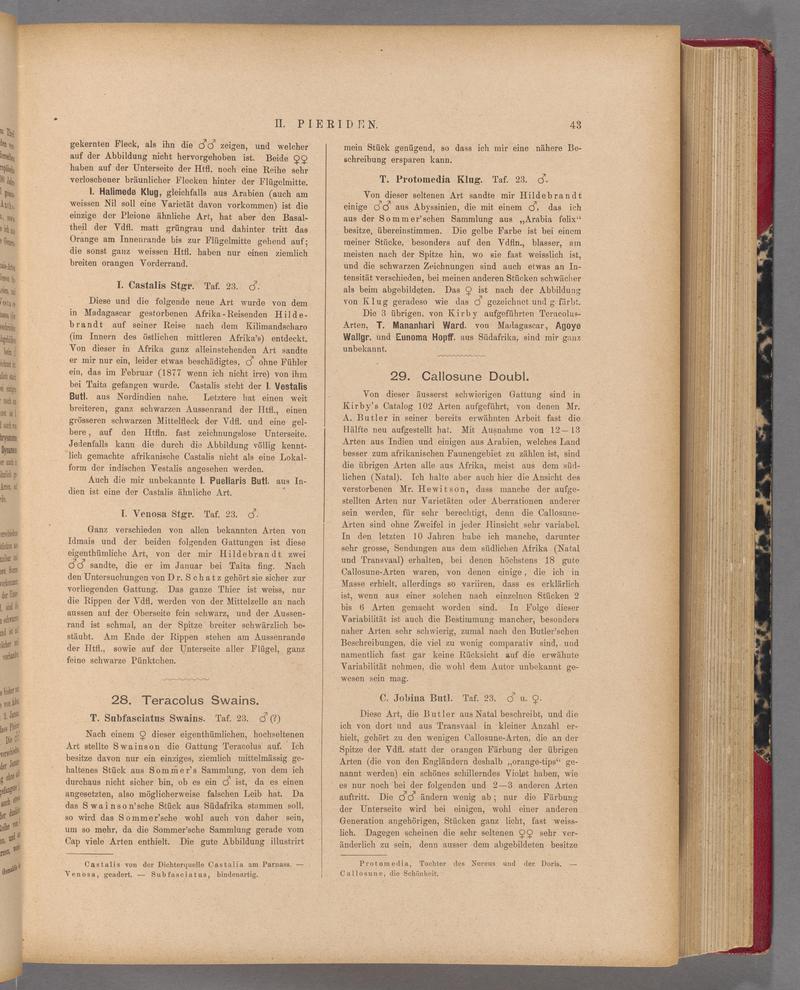 Exotische schmetterlinge (Page 43) BHL40070398