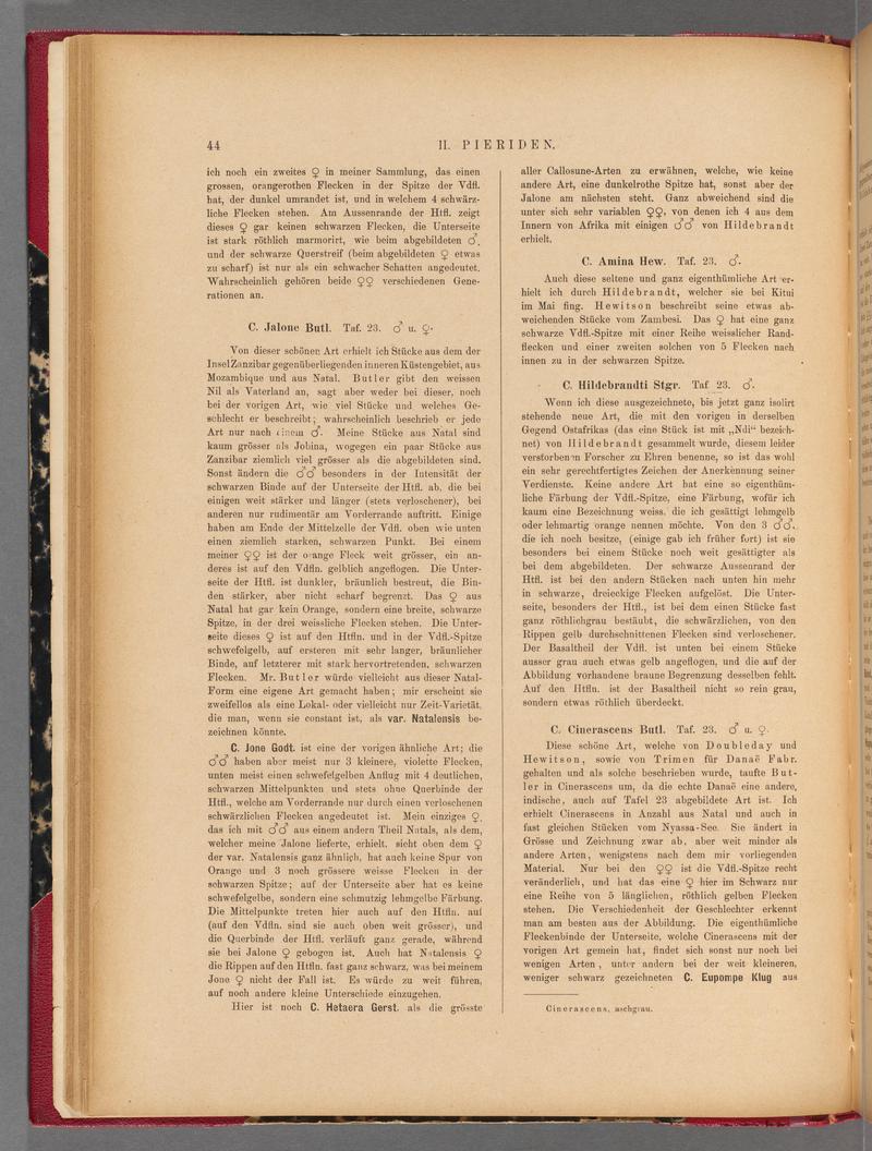 Exotische schmetterlinge (Page 44) BHL40070399