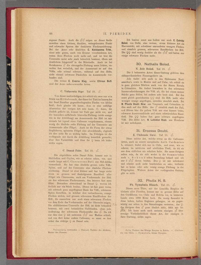Exotische schmetterlinge (Page 46) BHL40070401