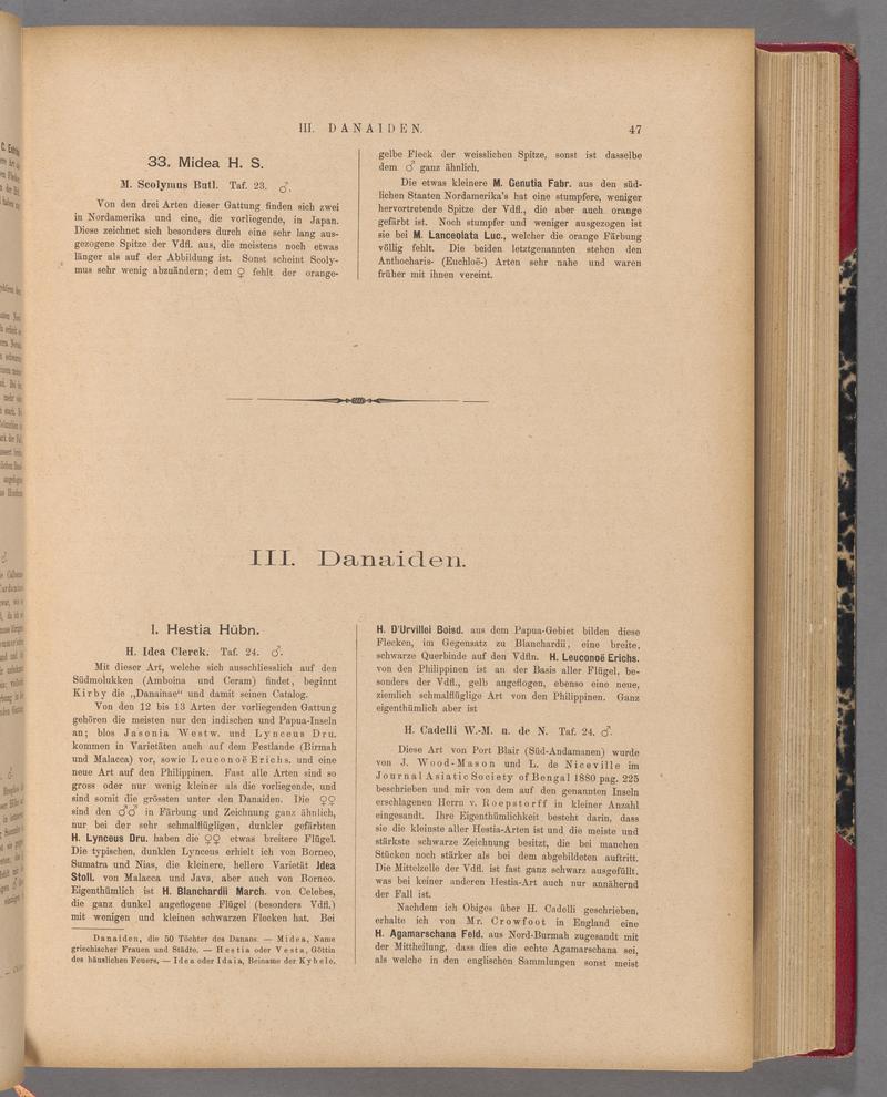 Exotische schmetterlinge (Page 47) BHL40070402