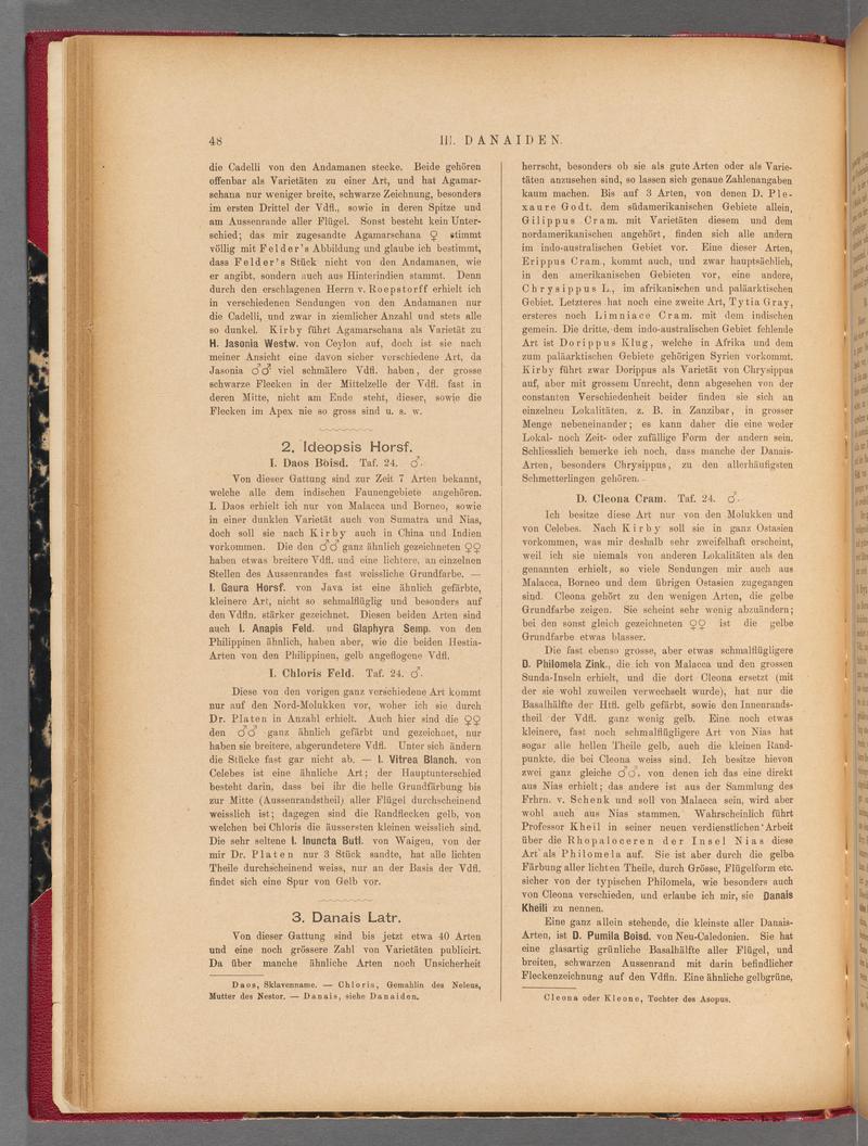 Exotische schmetterlinge (Page 48) BHL40070403