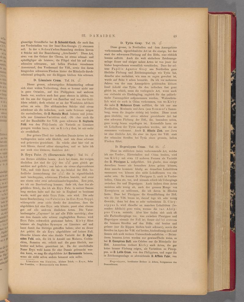Exotische schmetterlinge (Page 49) BHL40070404