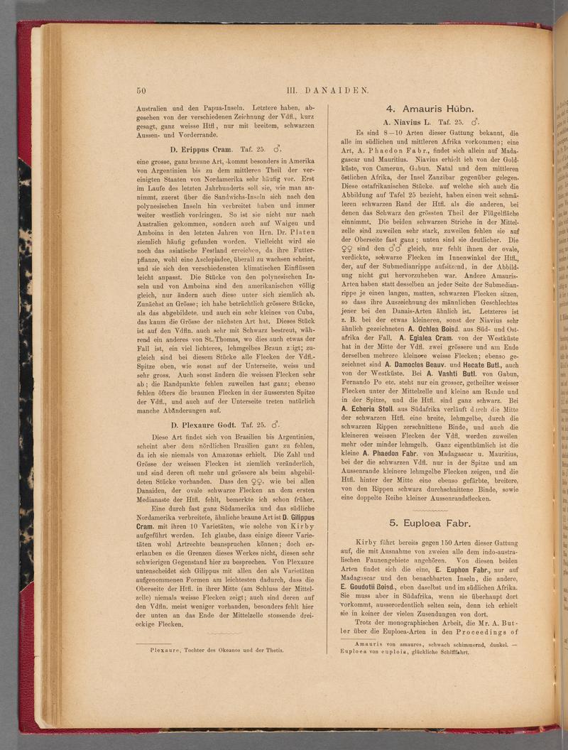 Exotische schmetterlinge (Page 50) BHL40070405