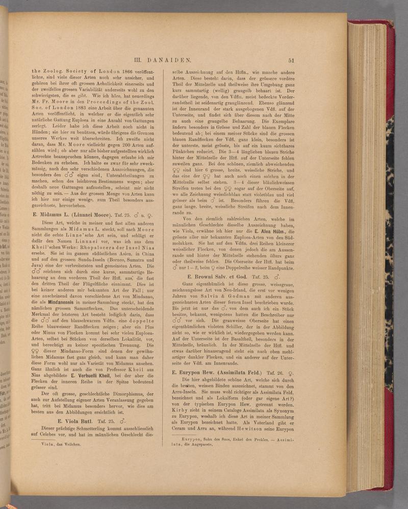 Exotische schmetterlinge (Page 51) BHL40070406