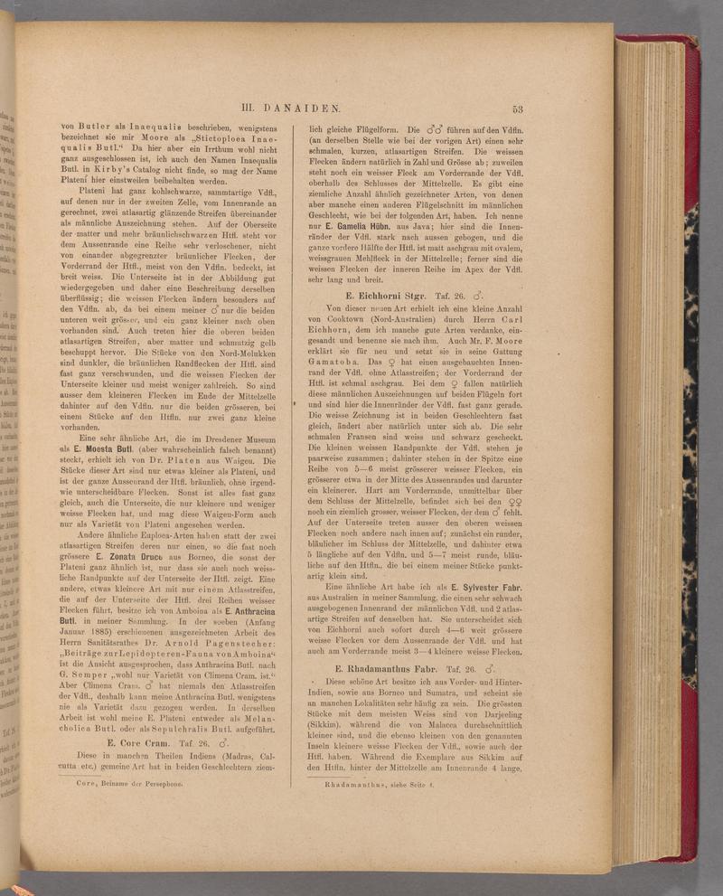 Exotische schmetterlinge (Page 53) BHL40070408