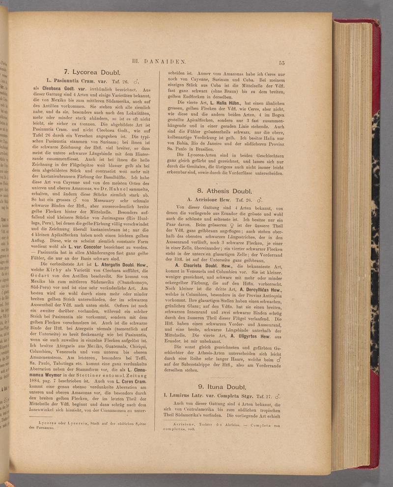 Exotische schmetterlinge (Page 55) BHL40070410